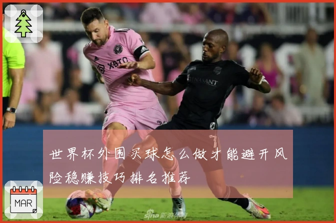 世界杯外围买球怎么做才能避开风险稳赚技巧排名推荐